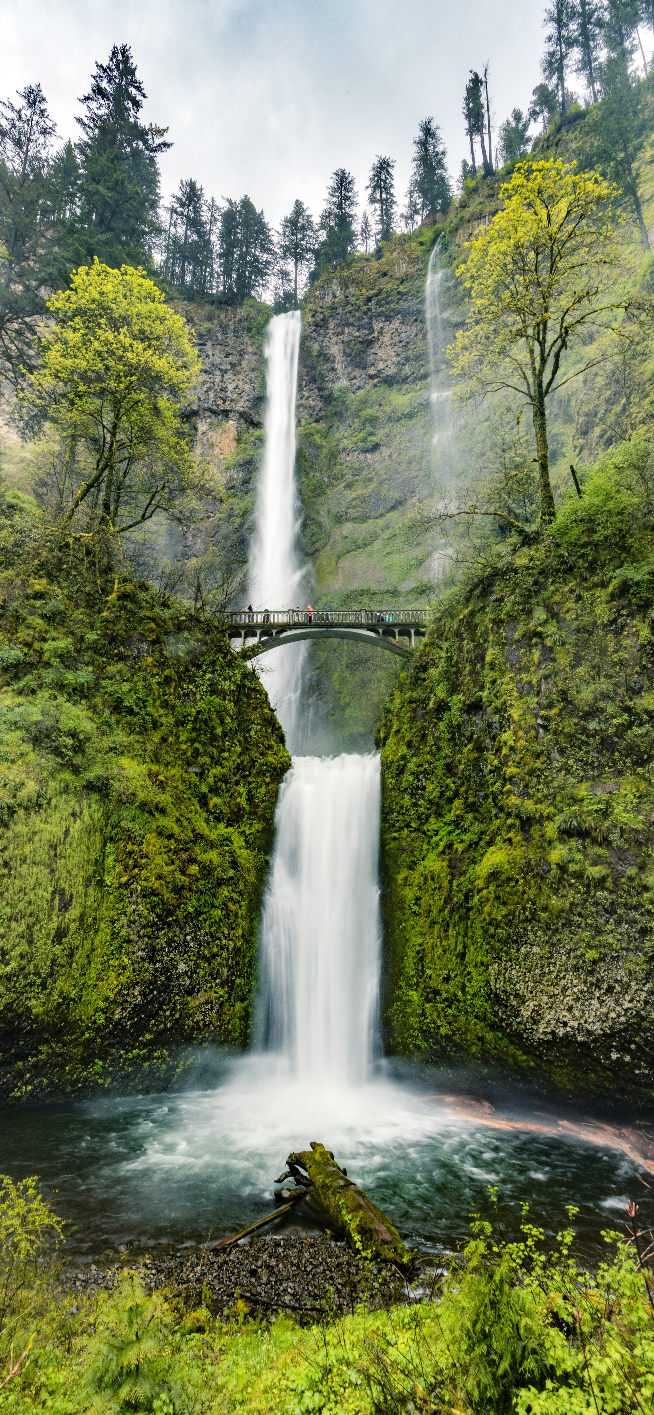 早安竖屏手机壁纸,早安图片最新手机壁纸