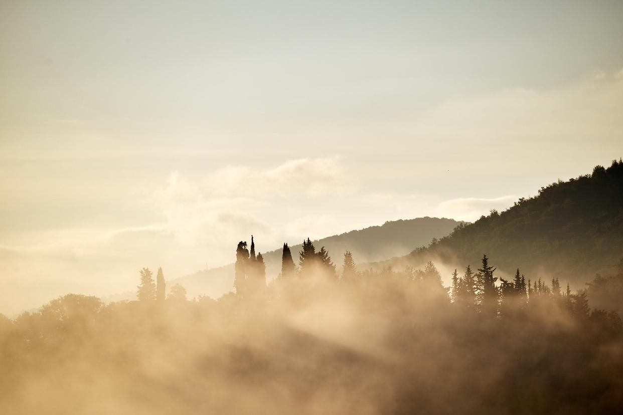 春夏秋冬最美的四首古诗词,古诗词里的中国四季之美