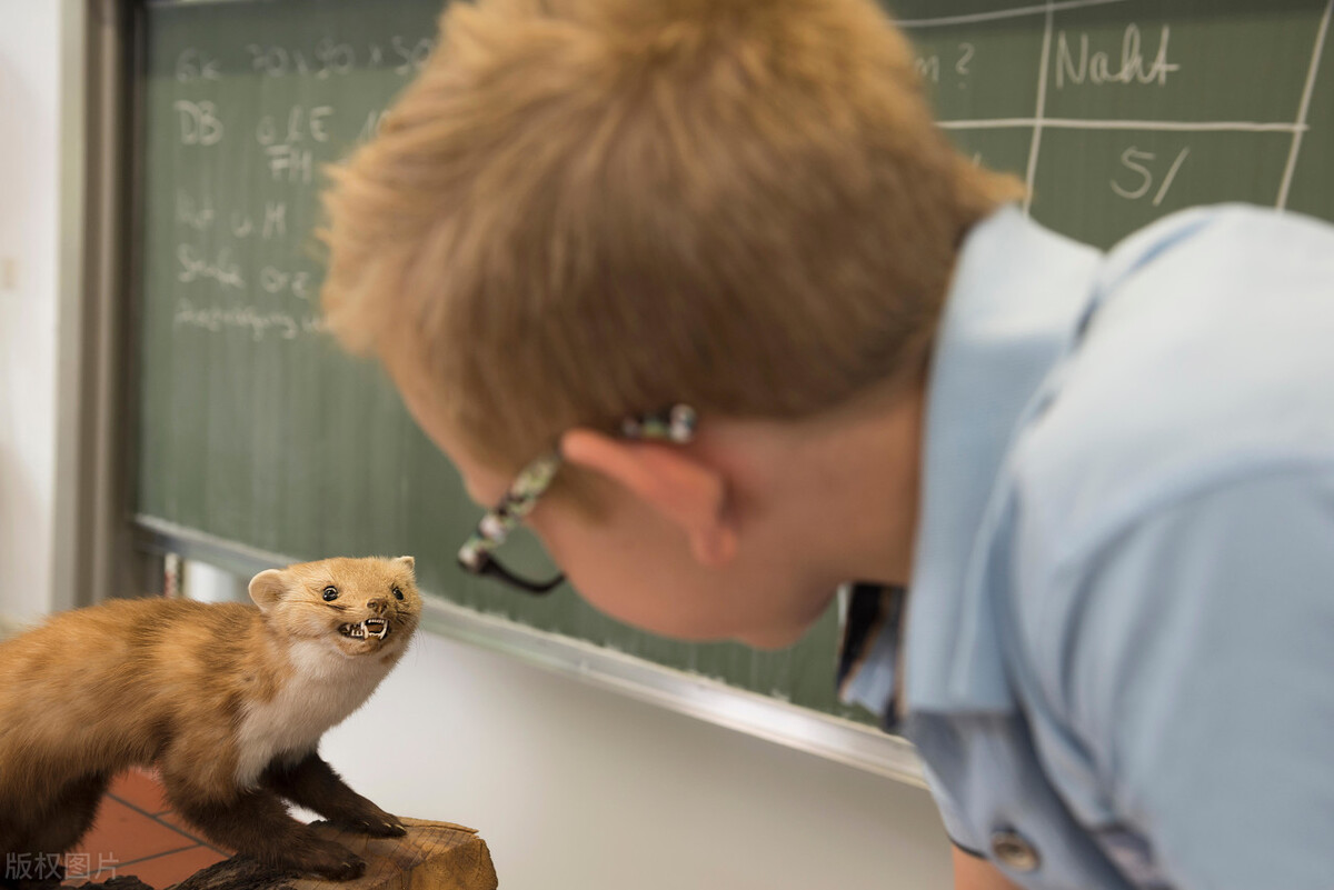 河南省师范类二本院校排名,河南二本师范类院校排名一览表