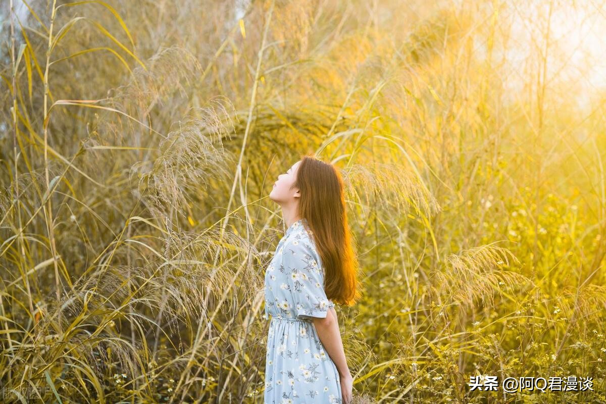 怎么快速提高微头条阅读量,微头条100万展现10万阅读收益多少