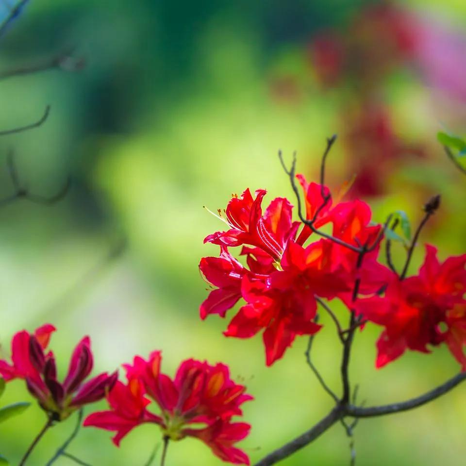 七年之痒短片,七年之痒短篇小说