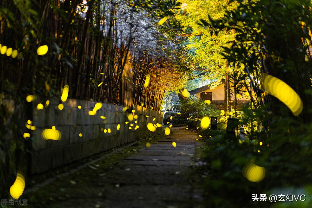 一个陌生女人的来电完整版,声临其境一个陌生女人的来电视频