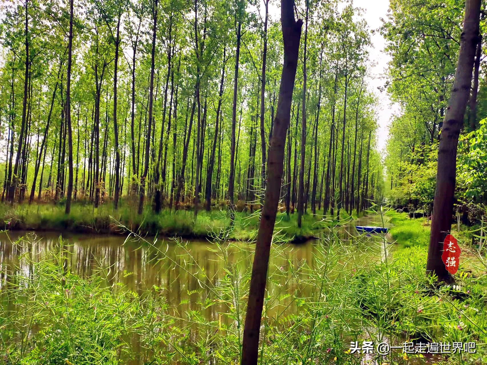 合肥6天5晚旅游攻略,合肥北京五日游最佳路线攻略
