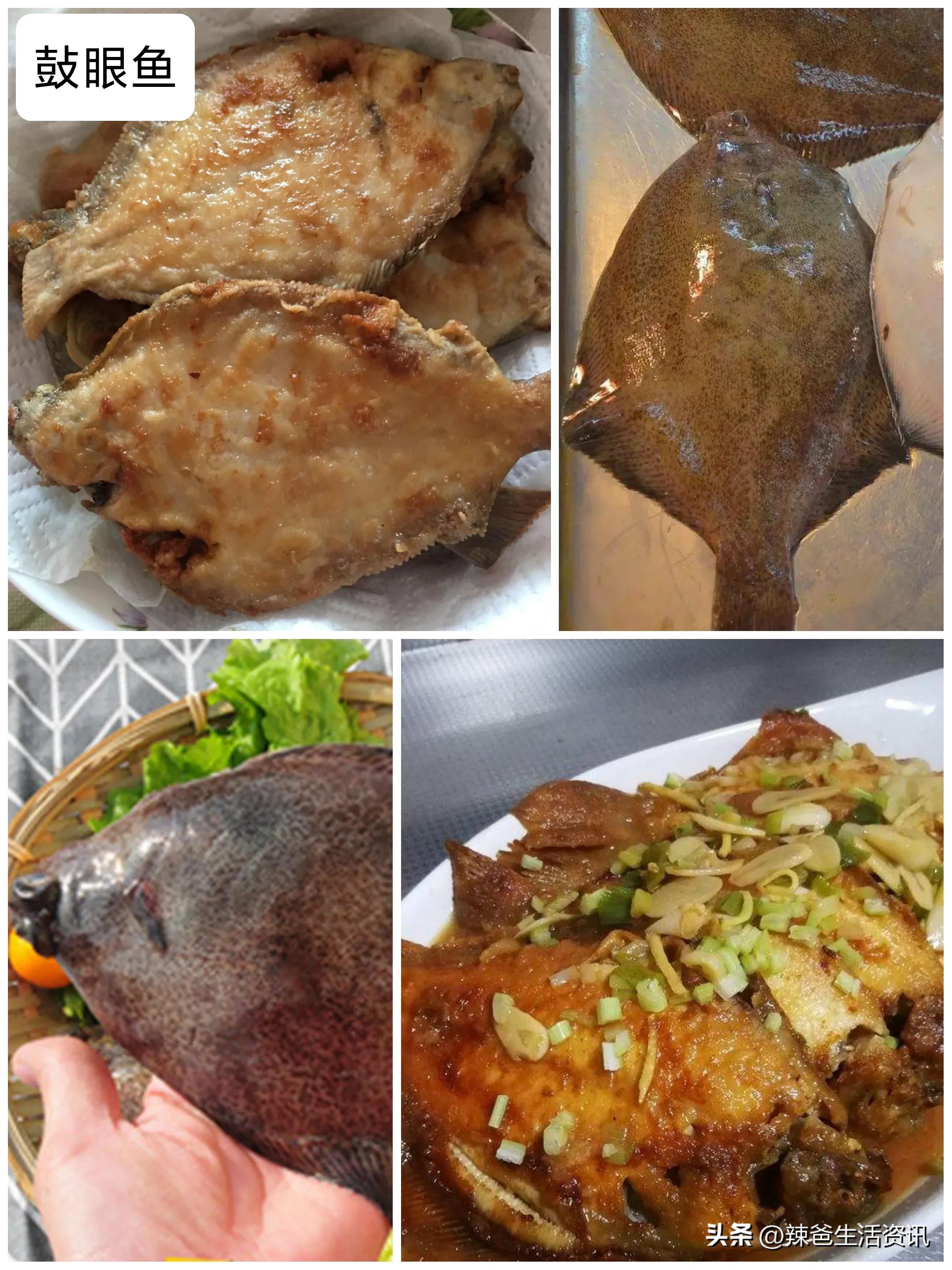 好吃不贵的野生海鱼,十种好吃不贵的正宗海鱼