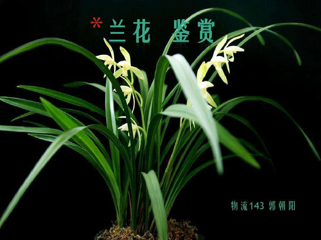 收文发文排版格式,公文的发文办理流程