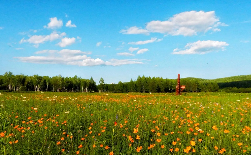 黑龙江冷门旅游城市,黑龙江省五一冷门亲子游