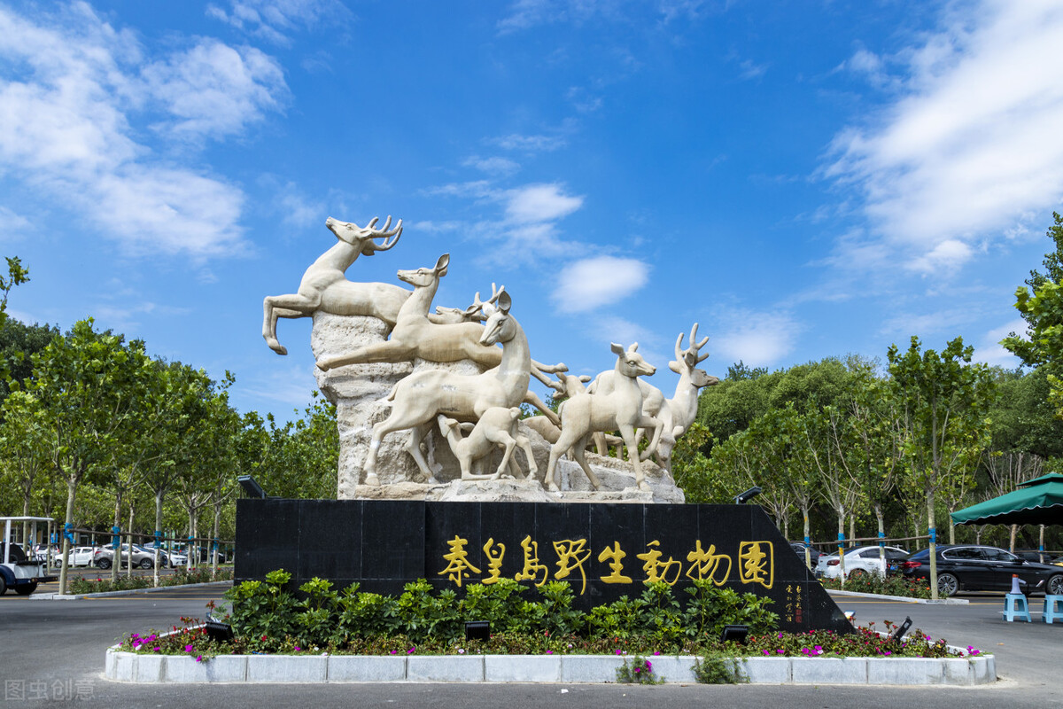 劳动仲裁公司答辩后如何回复,劳动仲裁讲不过老板