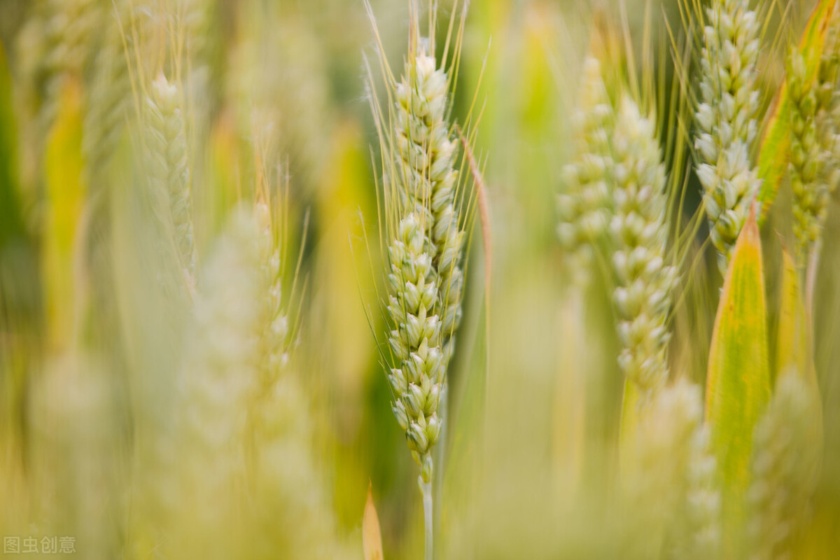 离开故乡感慨的诗词金句,离别故乡的诗句和优美句子