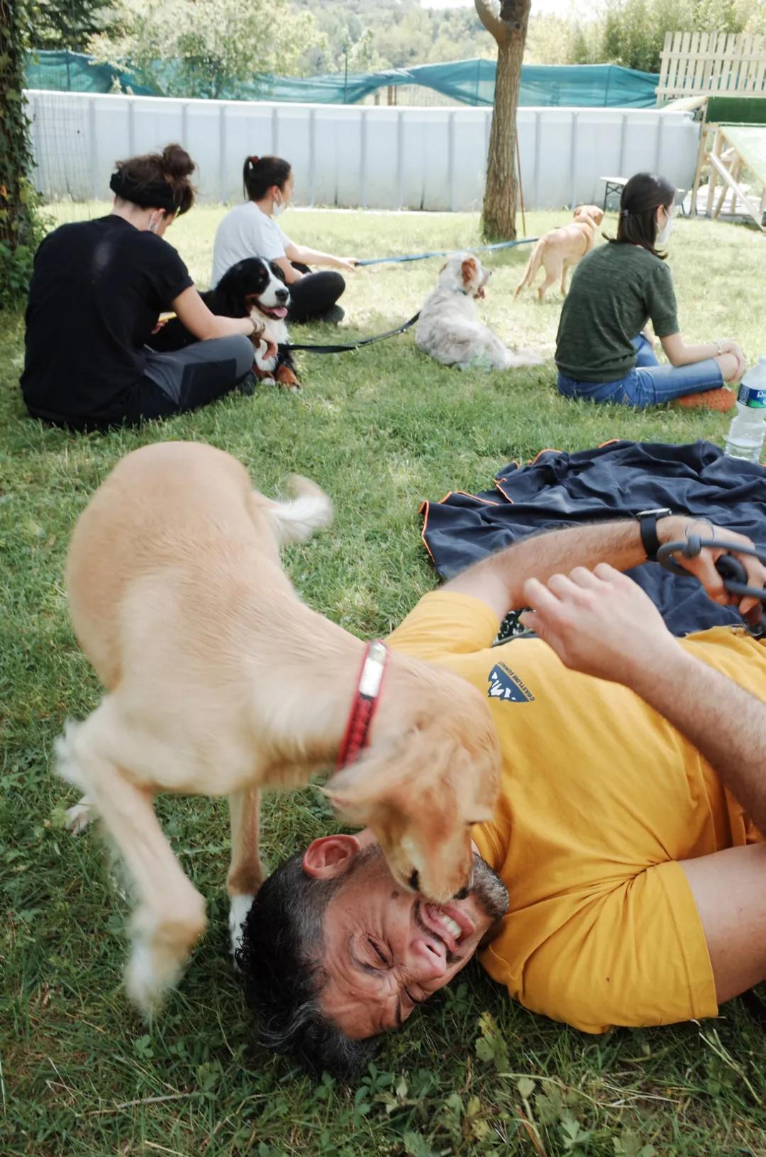 为了让狗狗不吃粑粑,我花5000元给它报了个班