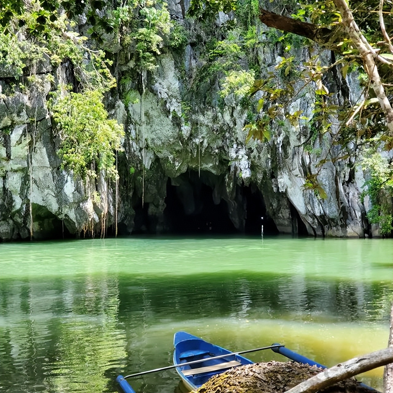 奔向西南，巴拉望归来不看海