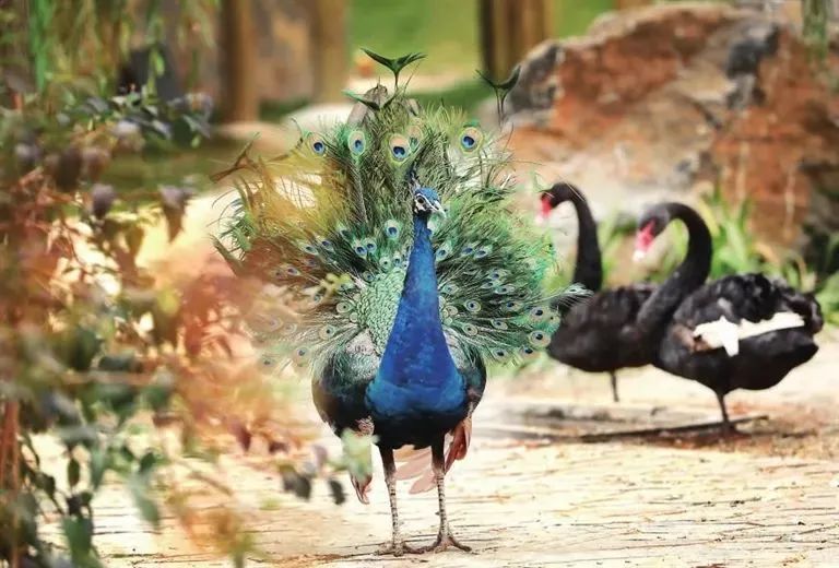 打卡太原古城,晋阳里能看到如梦晋阳表演吗