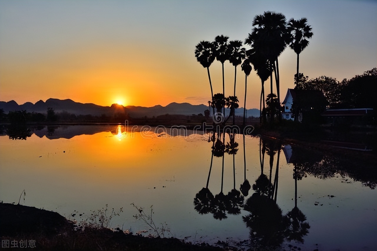 小便黄睾丸潮湿吃什么药,肝郁湿热下注尿浑浊