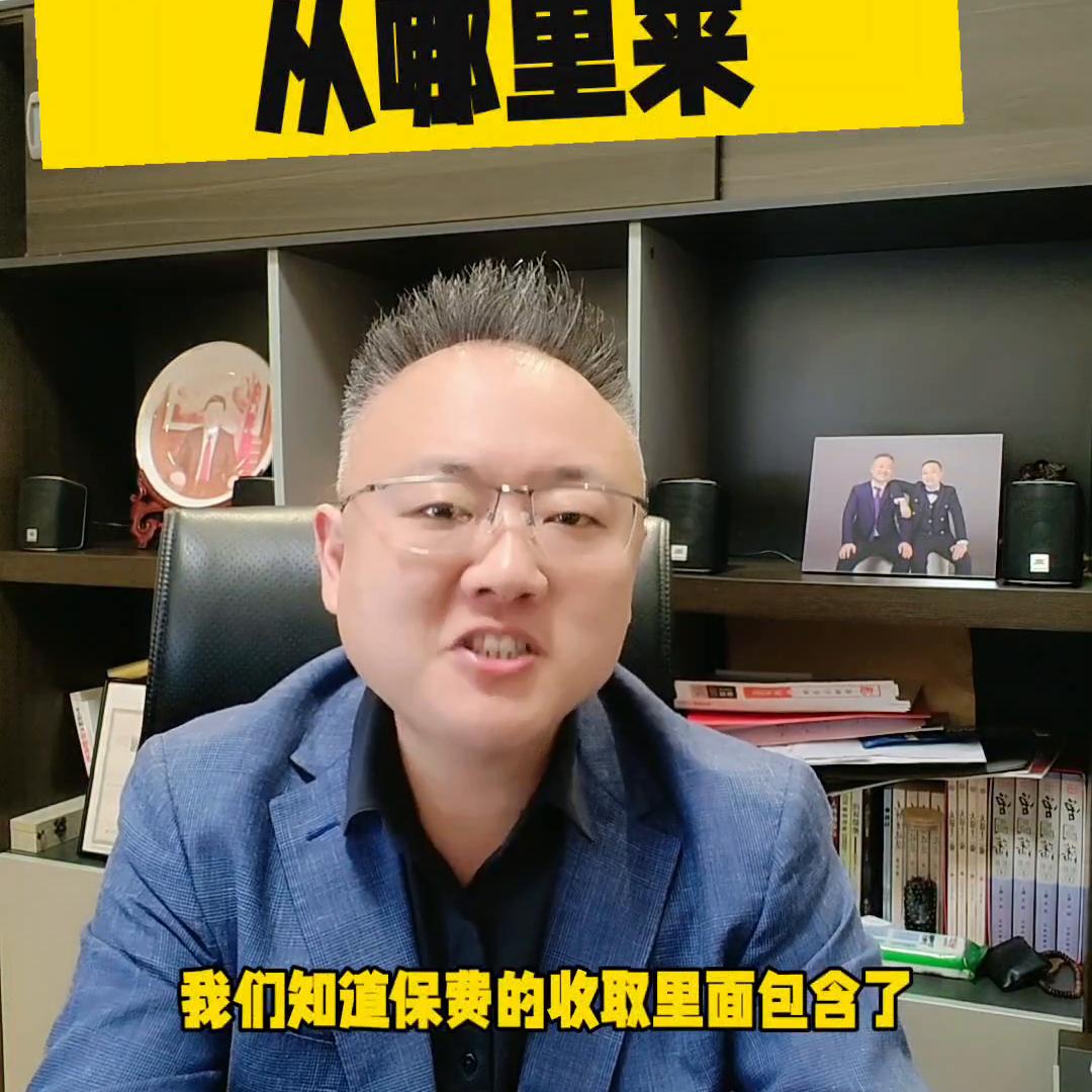 保险公司的利润从哪里来的,保险公司的利润从哪里来