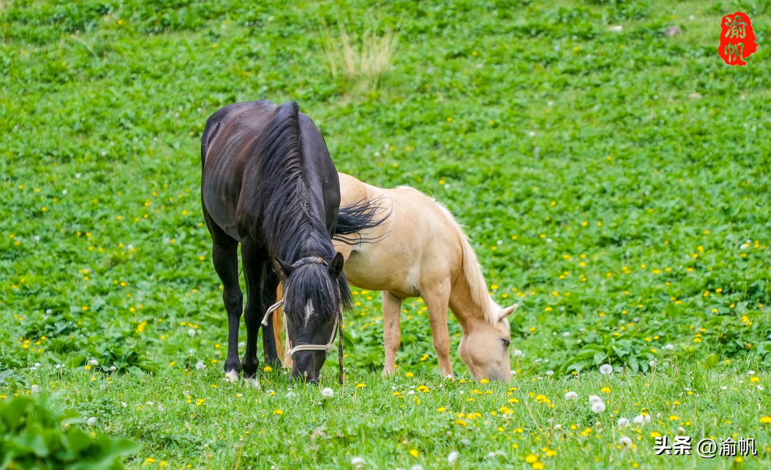 天山下的那拉提,陶渊明笔下世外桃源的美景