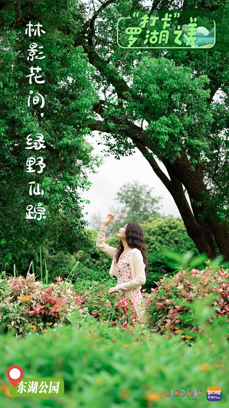 罗湖游玩景点打卡攻略,罗湖小众打卡景点推荐