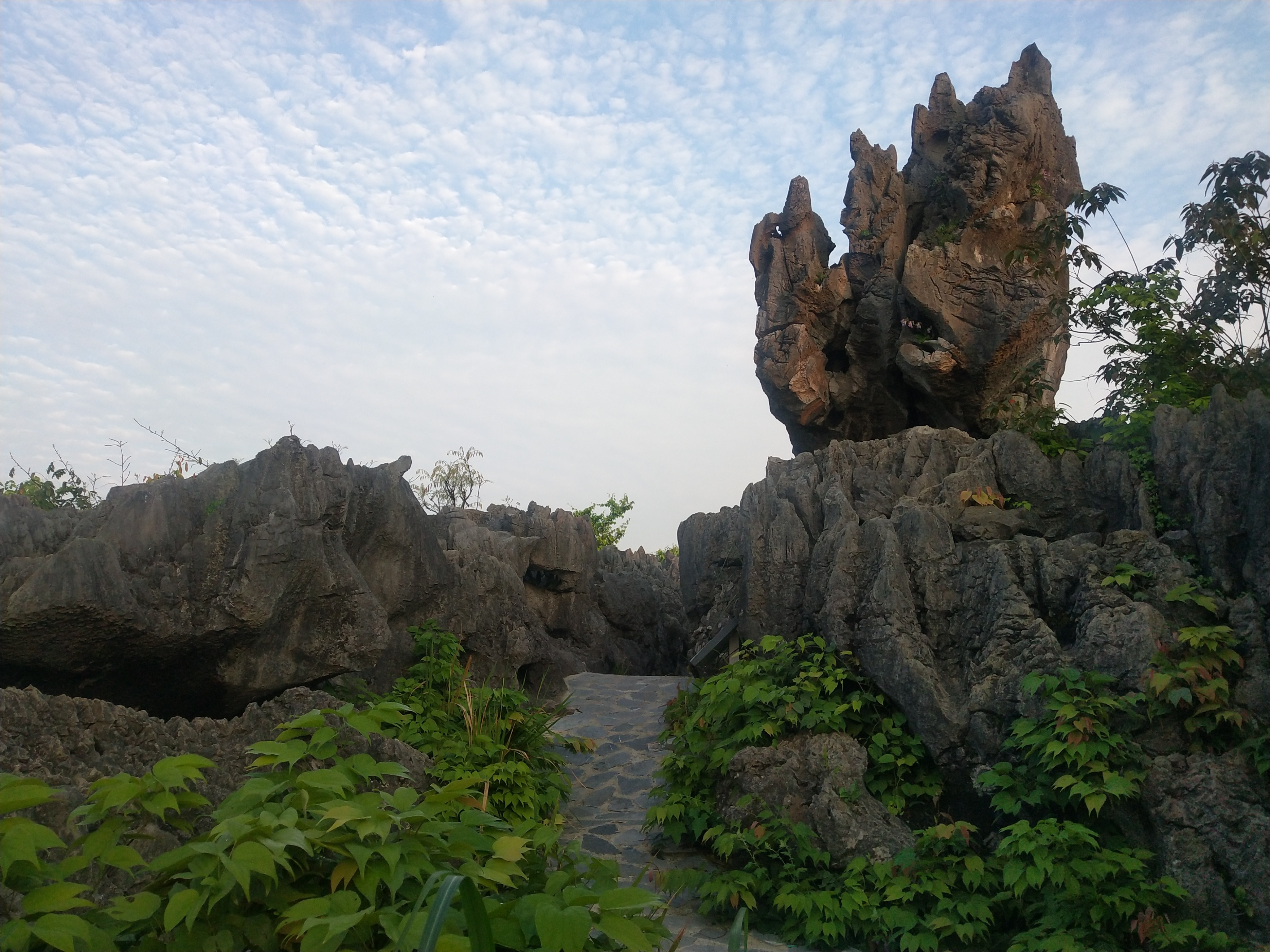 2020灌阳文市石林要门票吗,灌阳文市石林景区门票是多少