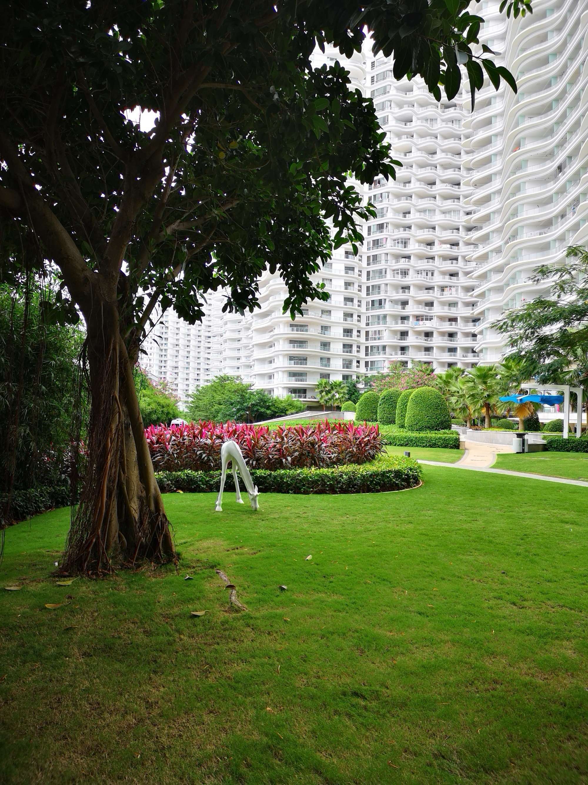 圆梦之园一一我的波波利海岸,上篇