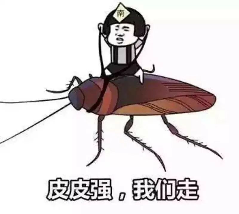 家里的蟑螂怎么彻底消灭,家里蟑螂怎么消灭最彻底的小妙招