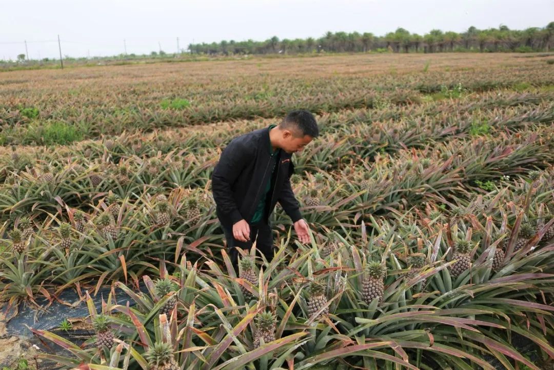 直交1500元保险享30万理赔,全市首单理赔政策