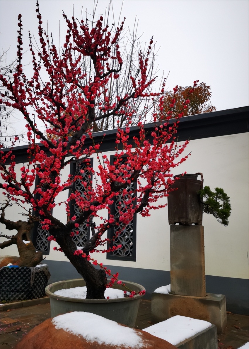 鄢陵模式,2023年鄢陵的发展