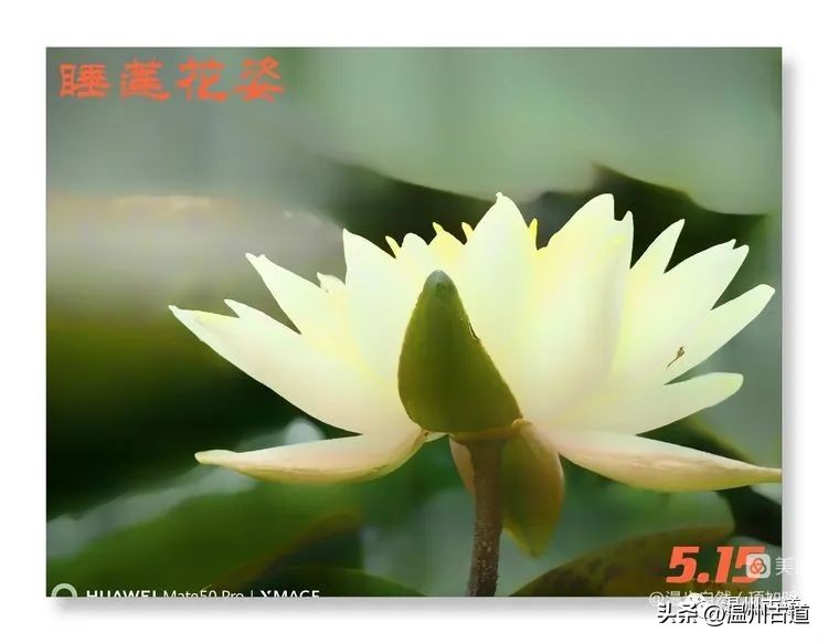 告别春天迎接夏天的诗,告别春天迎接夏天到来