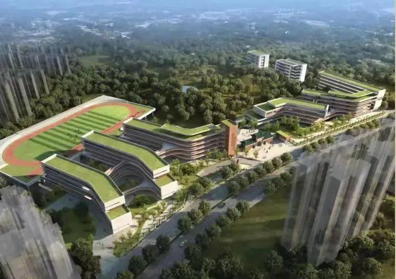 南沙教育名校,南沙七大名校公布名单哪里查