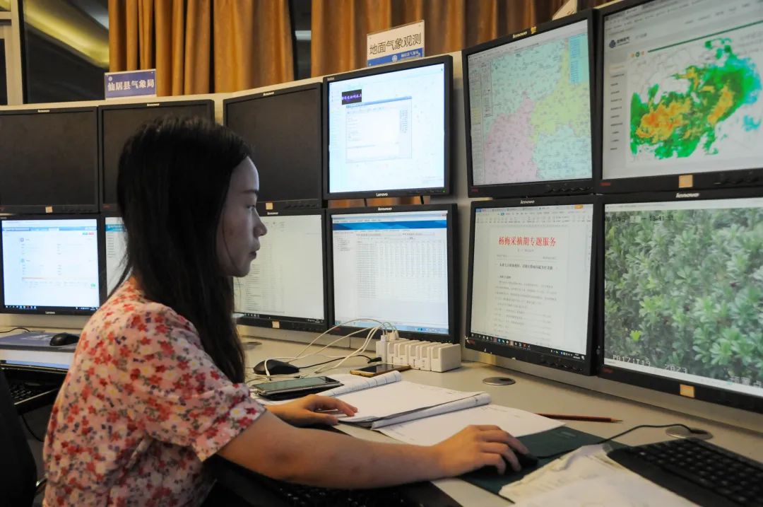 杨梅生活在什么气候中,东魁杨梅生长气候