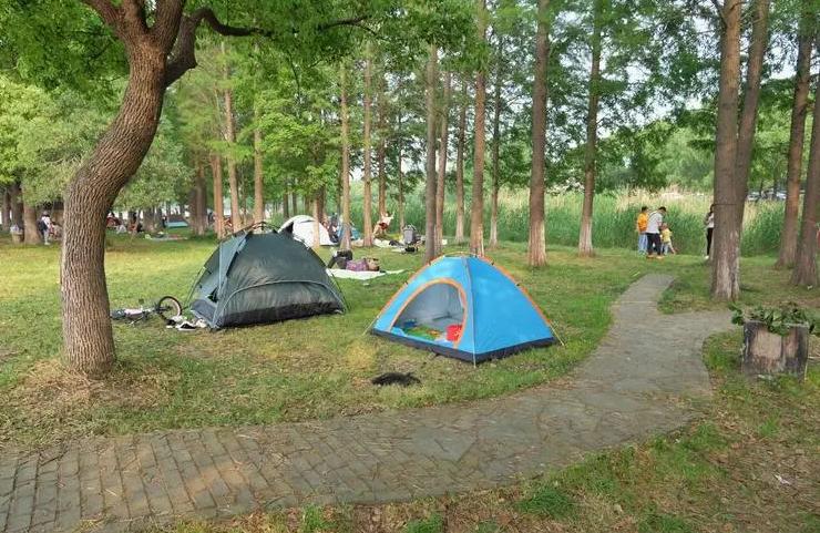 天津周边可生火的露营地,私藏天津小众露营地