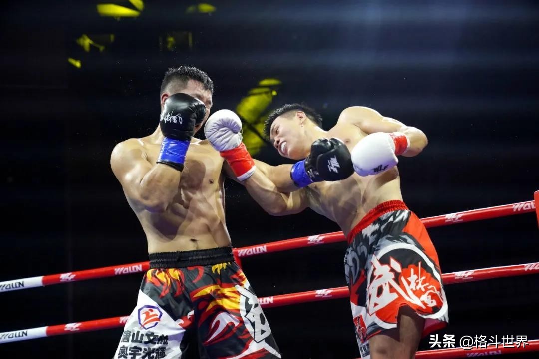 中国搏击排名前十,中国搏击排名前十方便