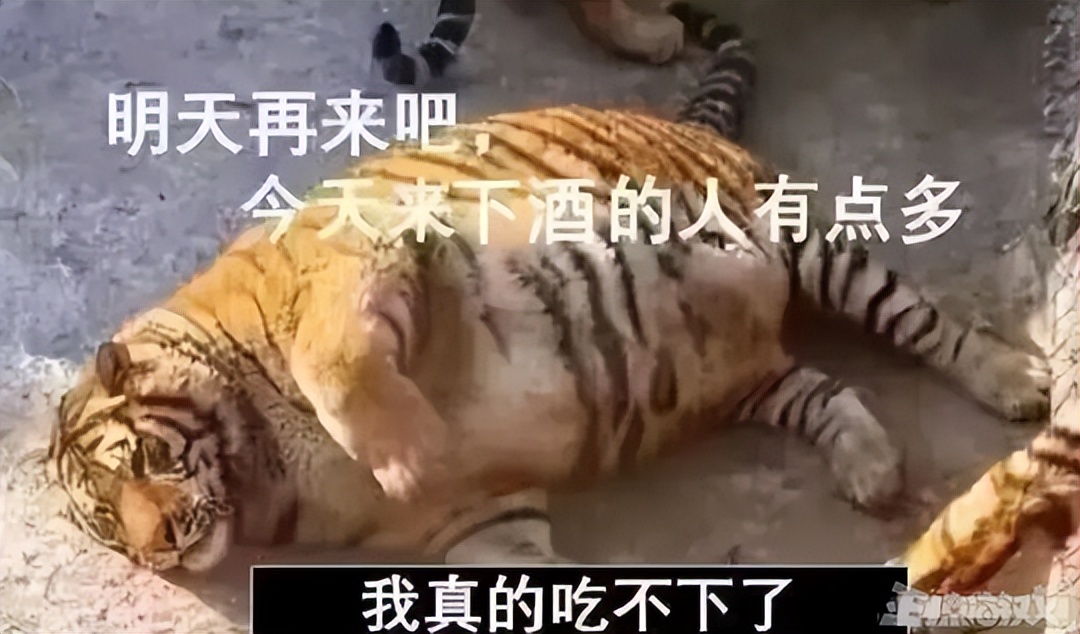 黑神话悟空为什么站着玩,黑神话悟空操作视频