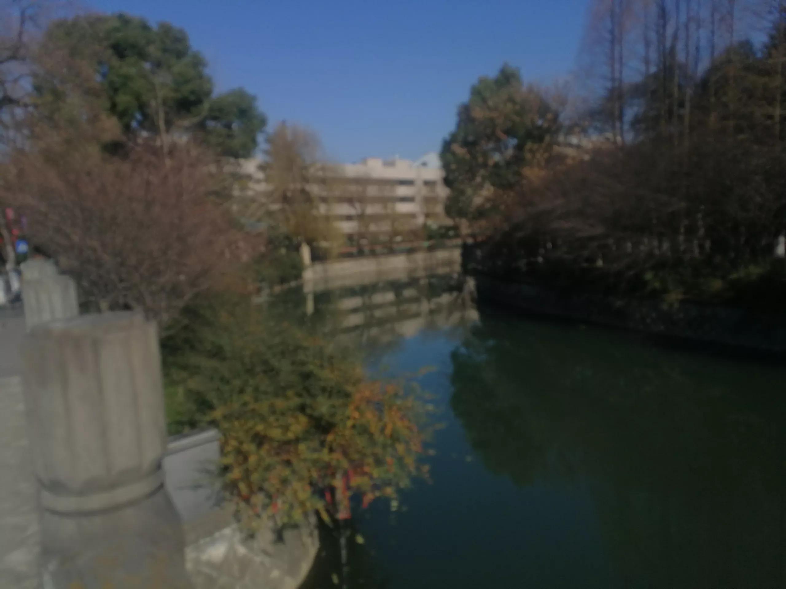 忆起六十多年前“文一街小学”的如烟往事