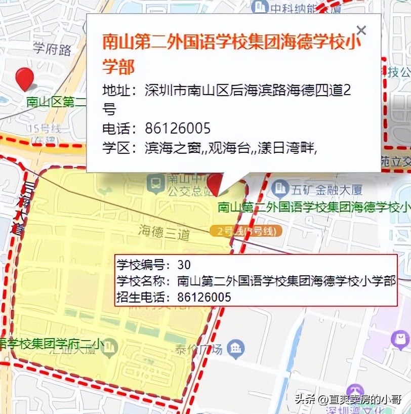 南山积分70分大概能进什么学校,南山育才小学学区划分