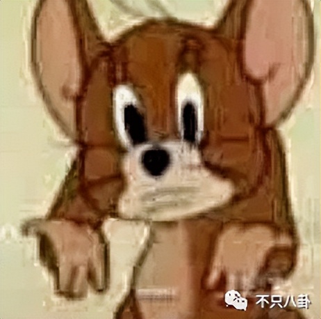 央视评绝望的文盲满江红,绝望的文盲央视点评满江红