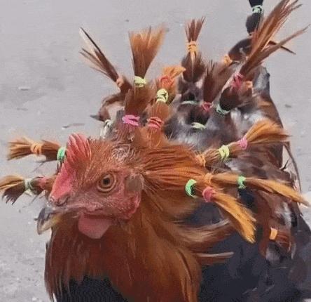 老婆坦白出轨道歉老公回答太硬核,老婆坦白出轨丈夫崩溃