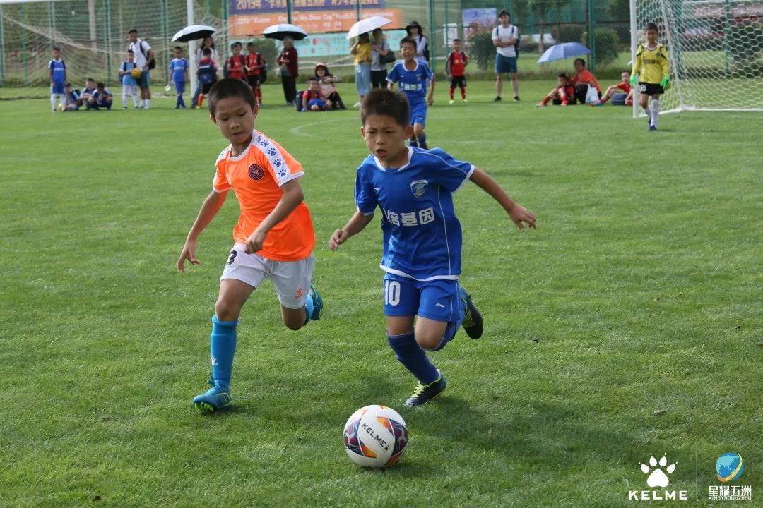 聚焦2023全国两会提案,聚焦2024年全国两会投票阶段