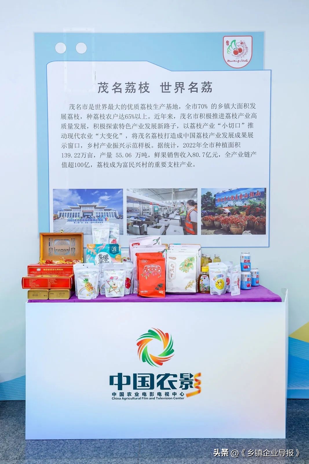 乡村振兴赋能计划人才典型案例,乡村振兴之文化振兴案例