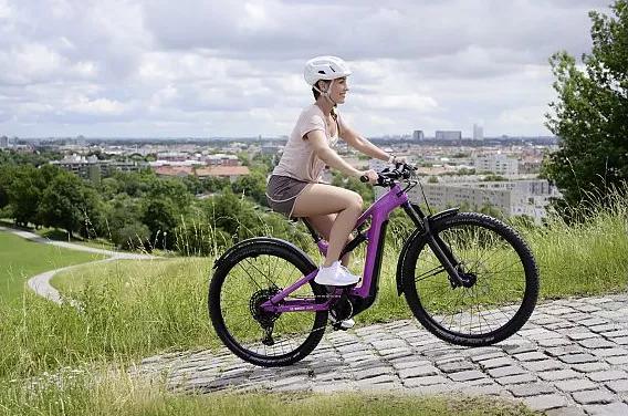 博世发动机的电动自行车,博世电动自行车系统