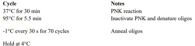 crispr蛋白质定位,crispr蛋白质