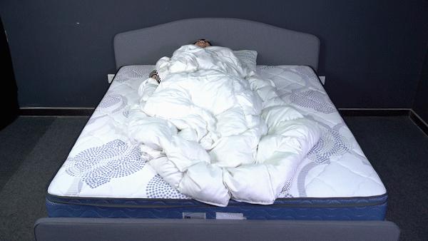 行业揭秘！舒达、西屋、金可儿、丝涟、慕思床垫拆解大横评