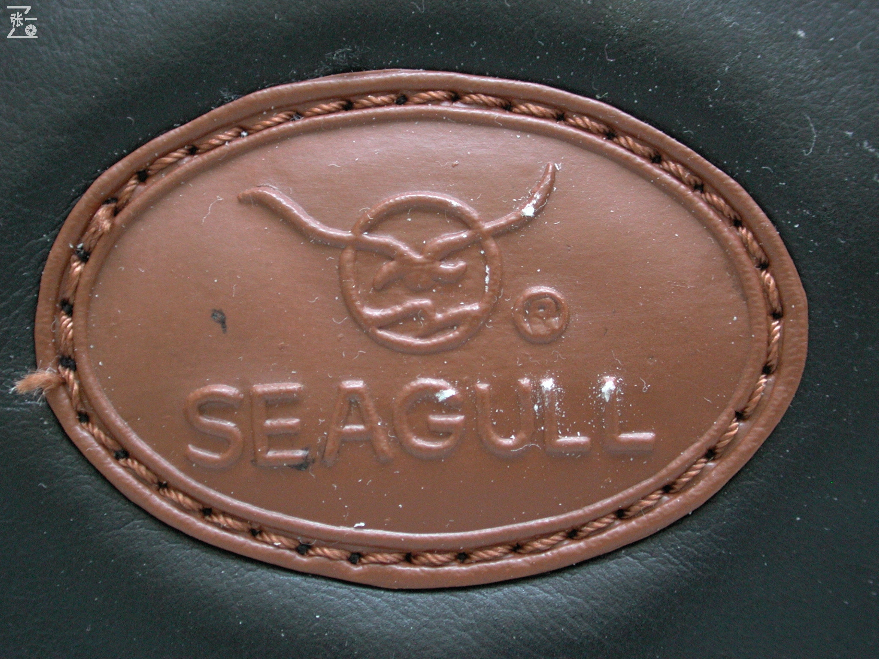 海鸥DF相机83年造,1982年海鸥df-1照相机价格是多少