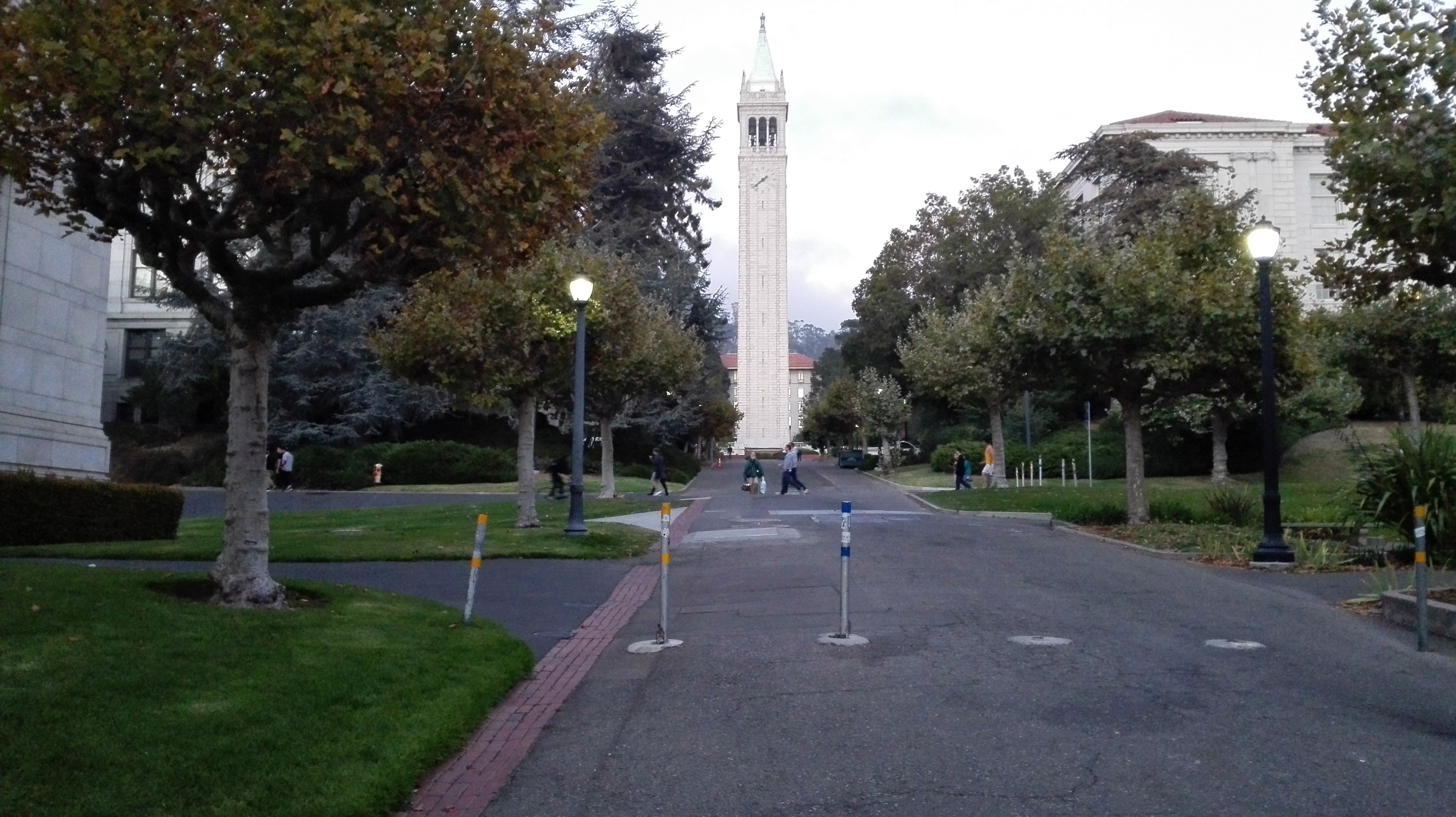 美国现在的顶级数学家有哪些,美国数学顶级人才