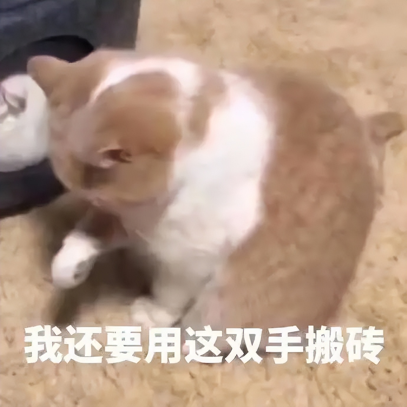 手腕细怎么变粗壮男生,如何锻炼手腕使手腕变粗