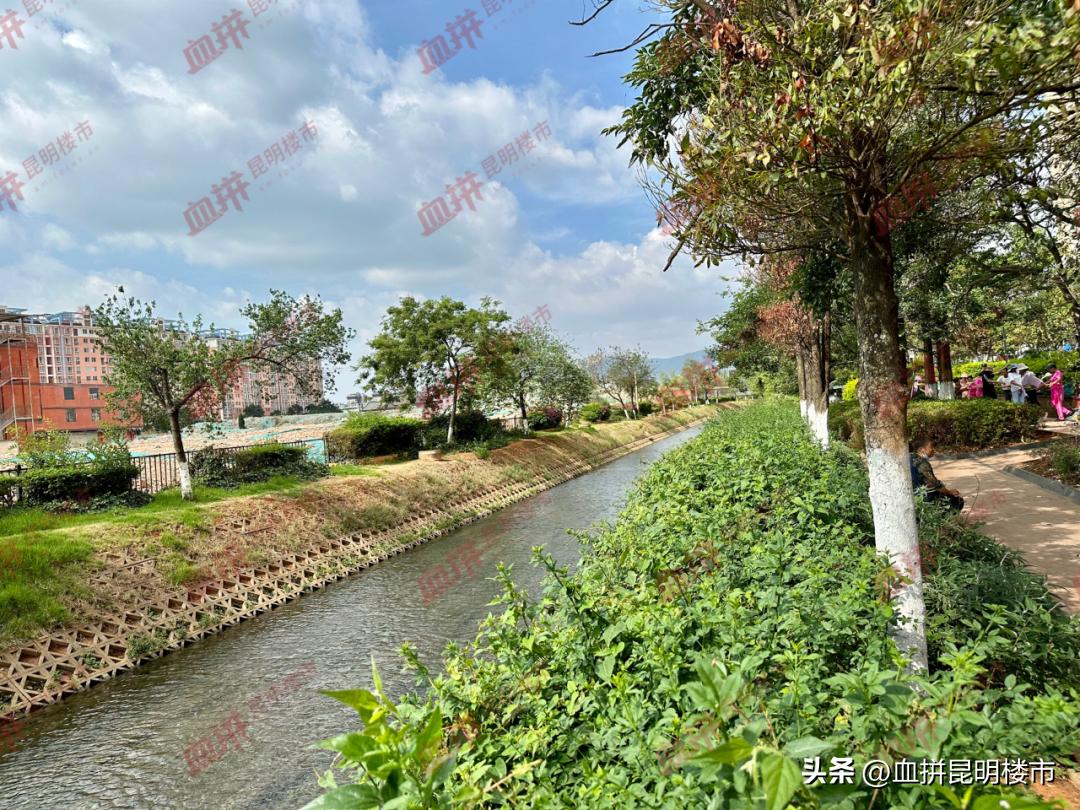 同样是背靠大型城市商圈,这个小区却算不上贵?