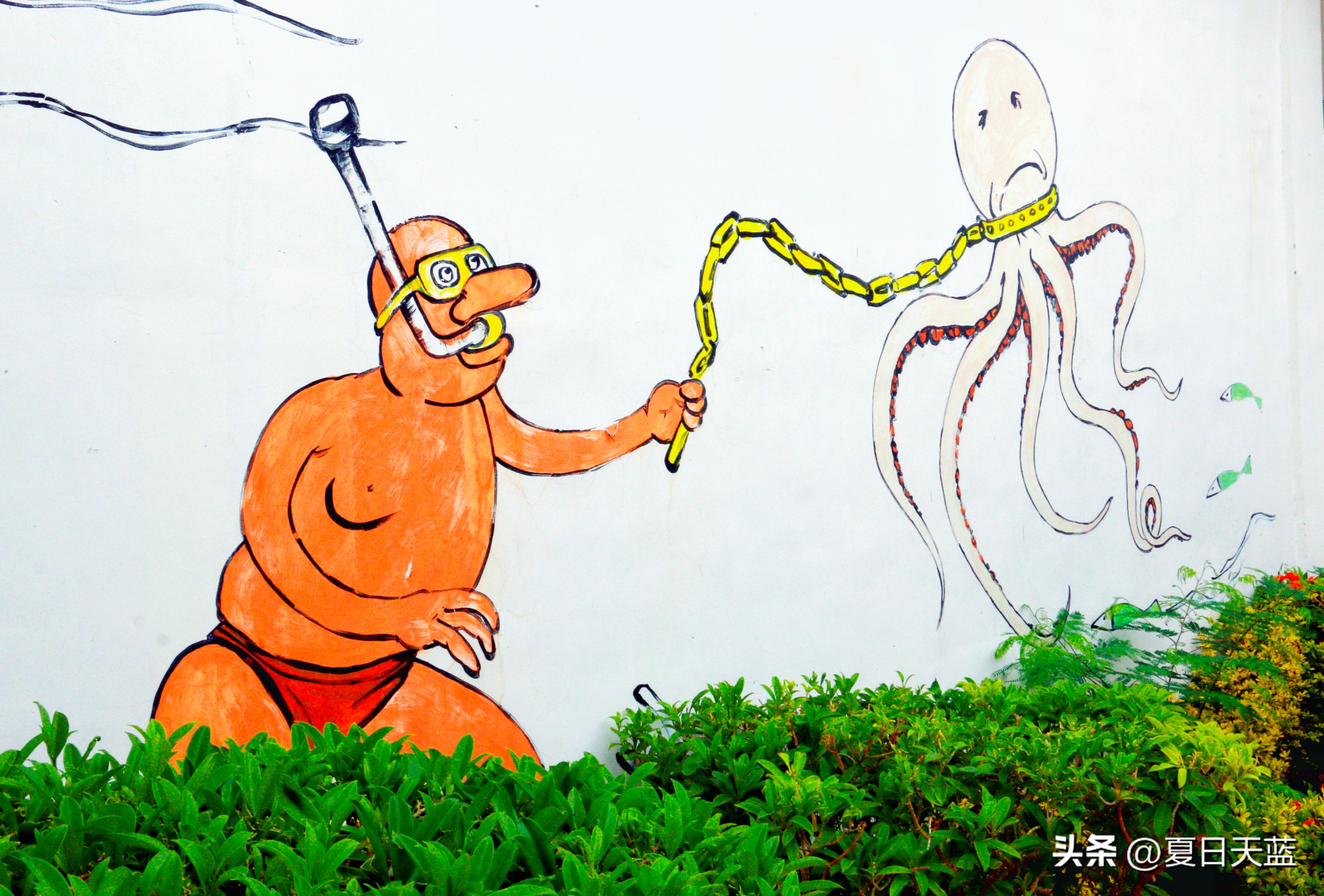 三亚度假最佳选择,三亚度假正确打开方式