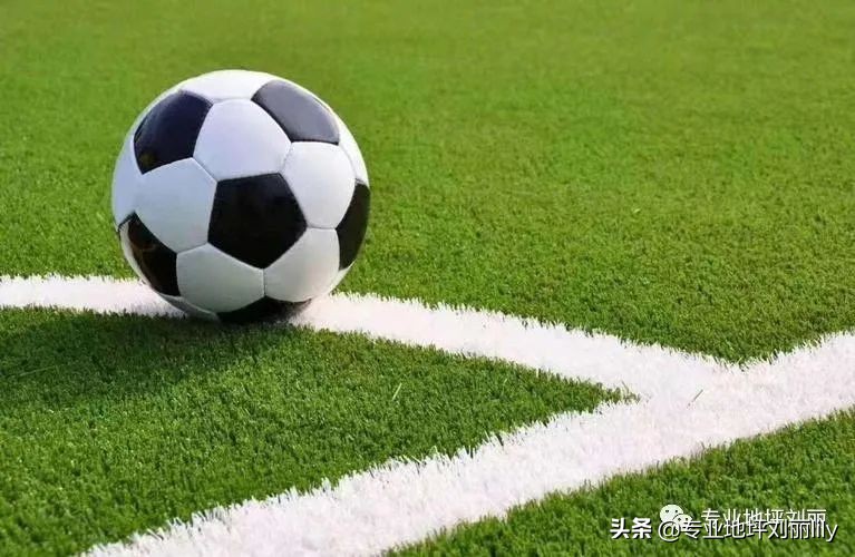 (专业地坪刘丽)运动草坪