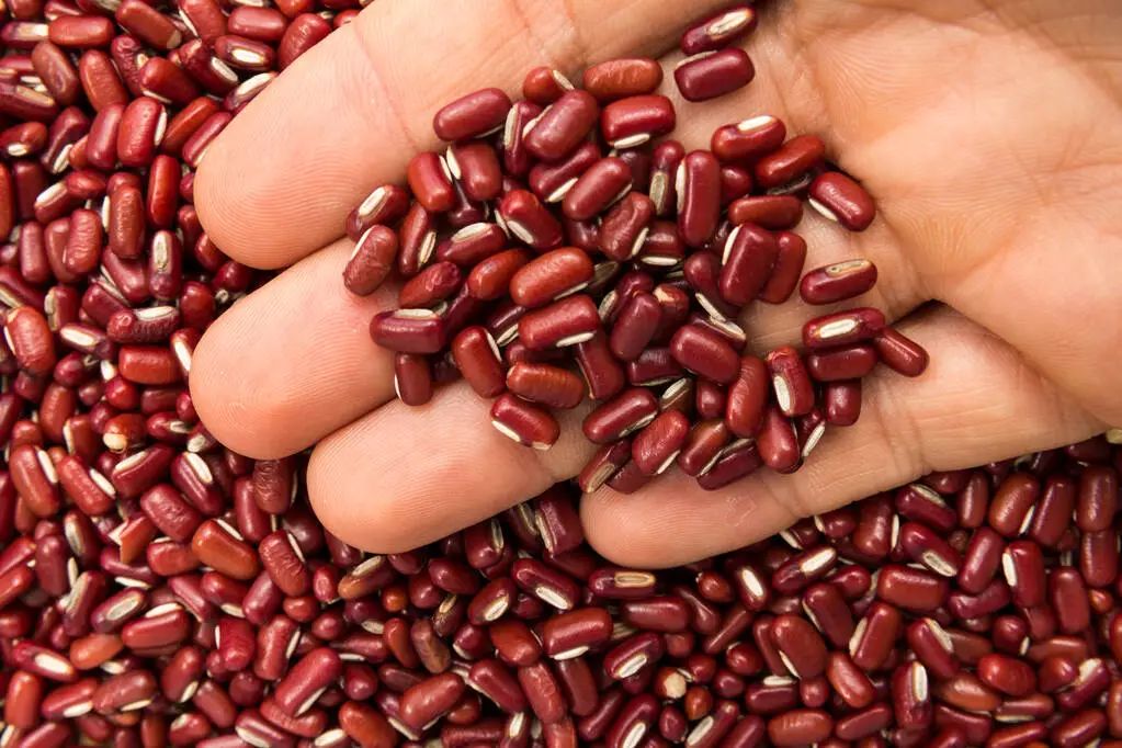 黄芪怎么吃补气补血,黄芪怎么吃补血效果最好