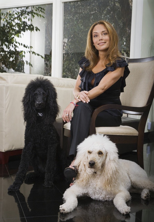 美国人与狗发生过的感人事,美国人与狗的相处视频