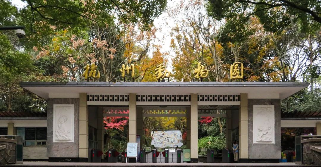 西湖十大景点价格表最新消息,西湖十大免费景点