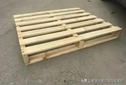 冷门的赚钱项目快速致富,想赚钱的朋友看过来