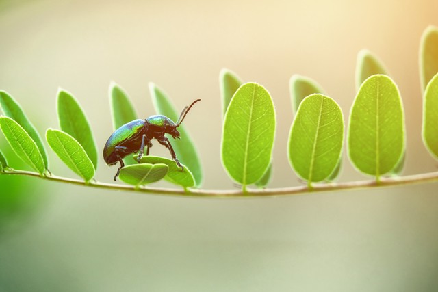 去广东得了荨麻疹,女孩得荨麻疹就医